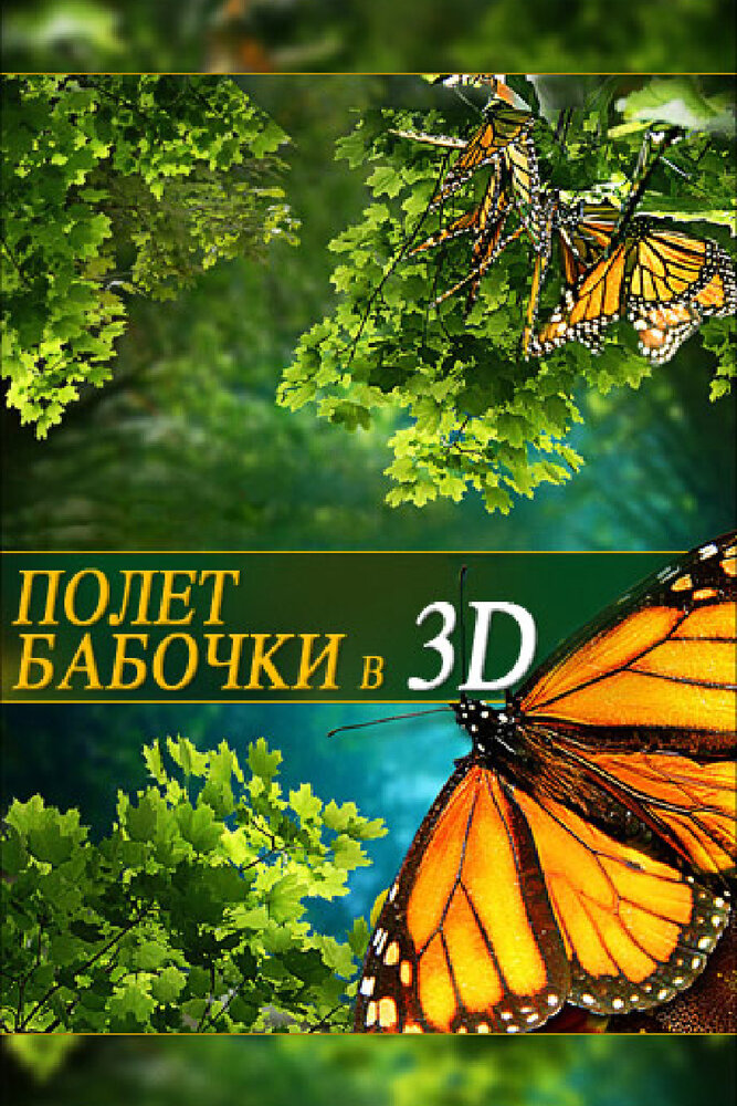 Полет бабочки 3D (2012) постер