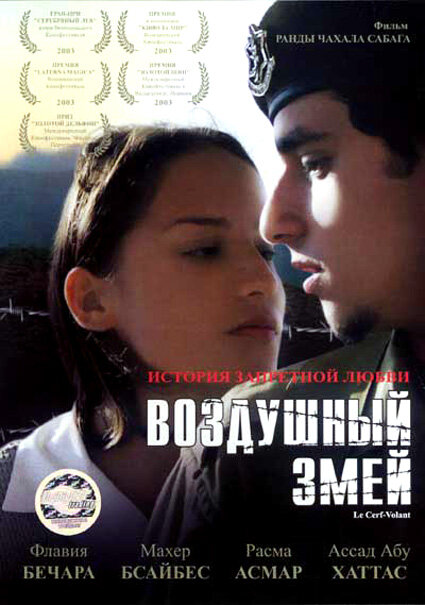 Воздушный змей (2003) постер