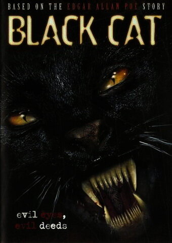 Черная кошка (2004) постер