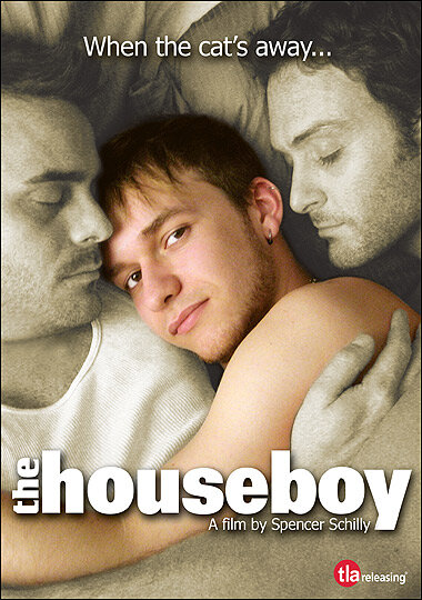 Домашний мальчик (2007) постер