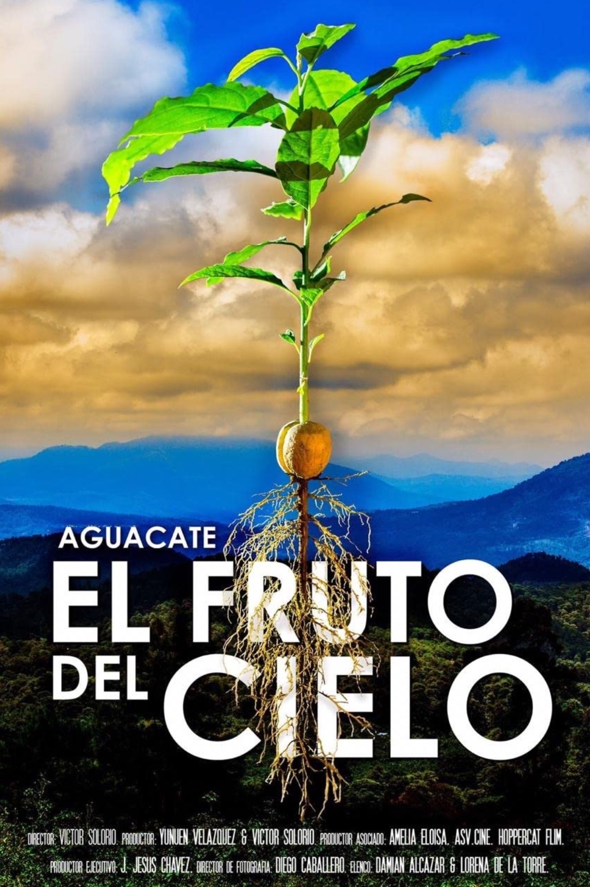 Aguacate El Fruto Del Cielo (2021) постер