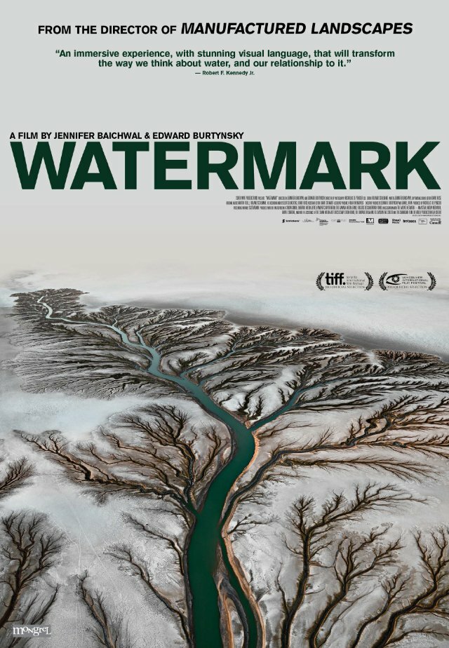 Водяные знаки (2013) постер