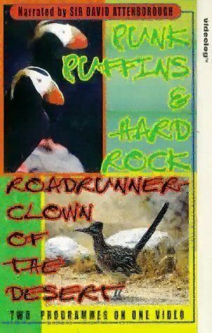 Roadrunner (2001) постер