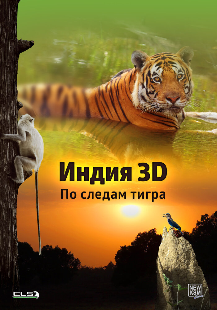 Индия 3D: По следам тигра (2014) постер