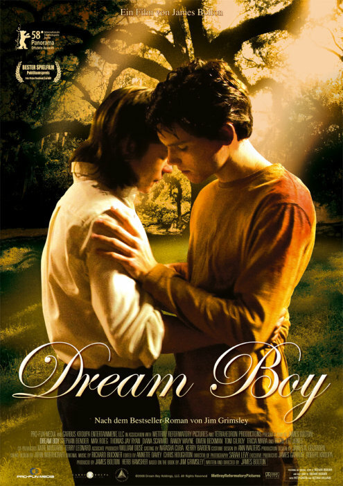 Парень мечты (2008) постер