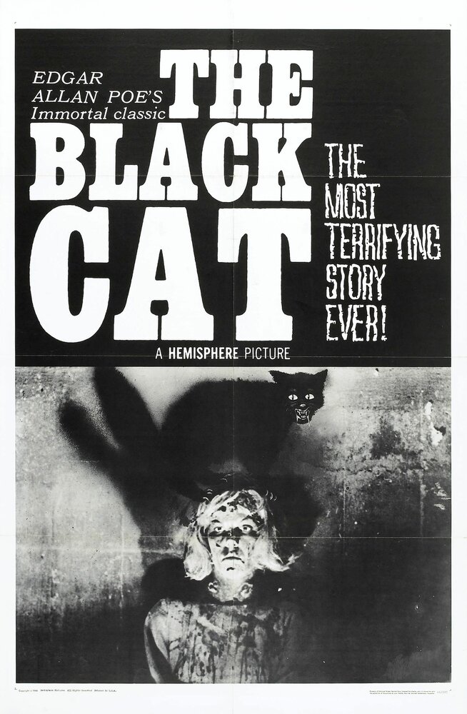 Чёрный кот (1966) постер