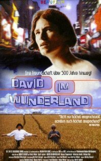 Давид в стране чудес (1998) постер