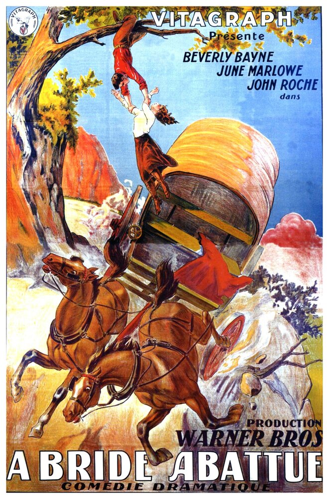 The Tenth Woman (1924) постер