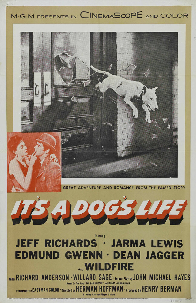 It's a Dog's Life (1955) постер