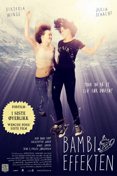 Эффект Бэмби (2011) постер