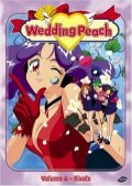 Свадебный персик (1995) постер