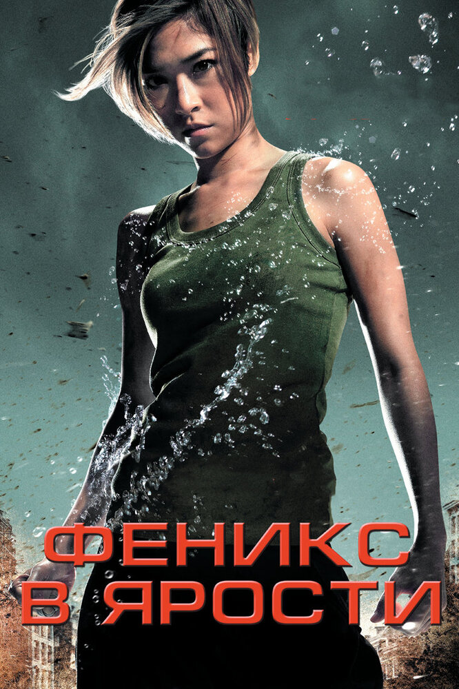 Феникс в ярости (2009) постер