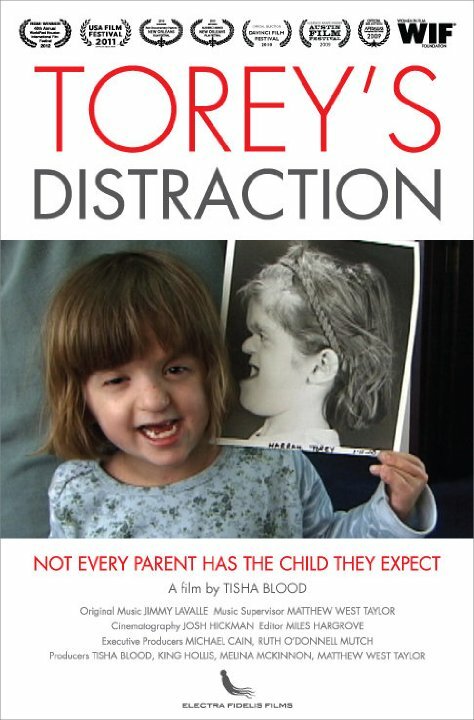 Torey's Distraction (2009) постер