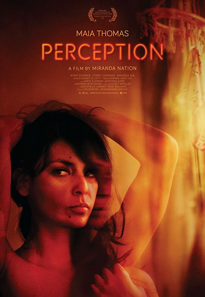Perception (2013) постер