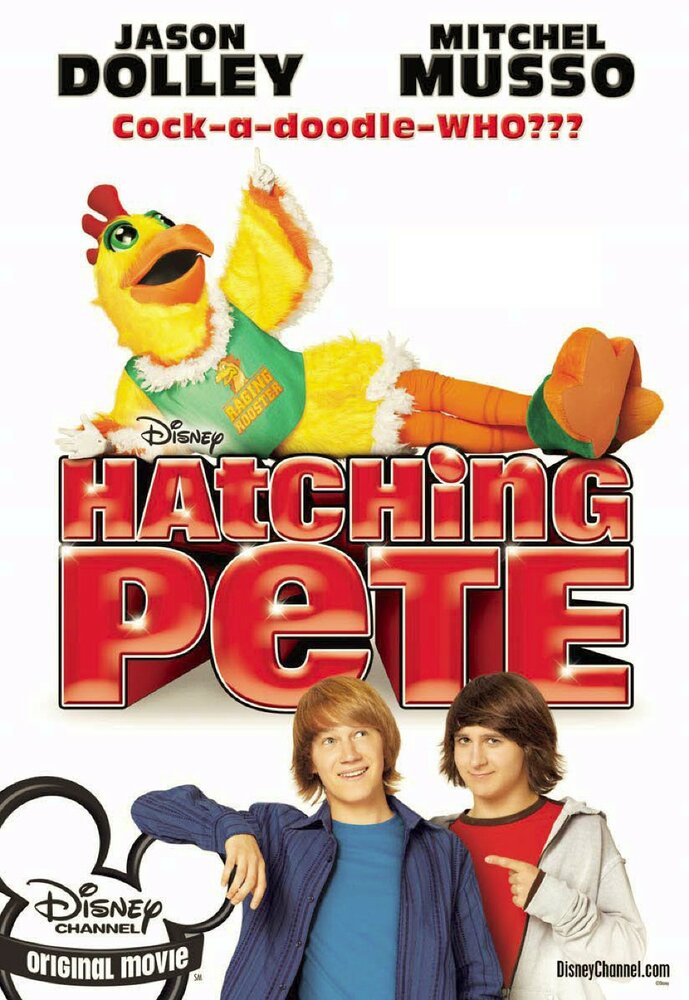 Пит в перьях (2009) постер